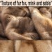 Texture of fur fox, mink and sable